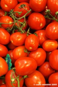 pomodori
