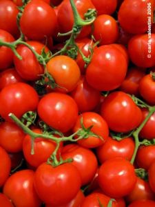 pomodori1