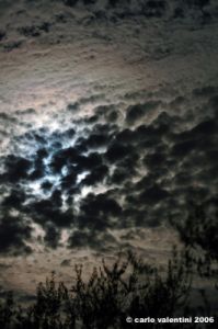notturno11