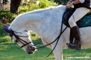 pelago_lapieve_scuderie004