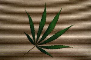 cannabis01