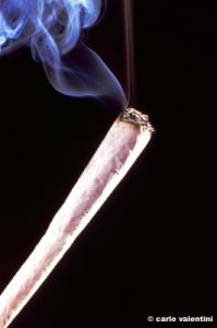 spinello583_08
