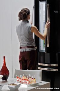 ariston0449