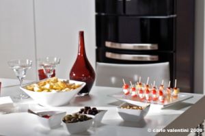 ariston0451