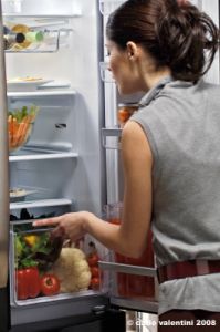 ariston0496