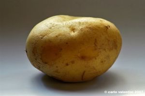 patata_gialla03