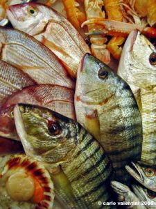pesce9