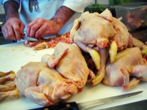 pollo1