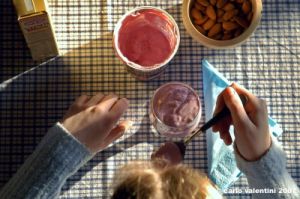 yogurt001