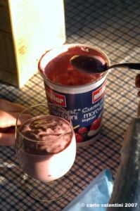 yogurt009