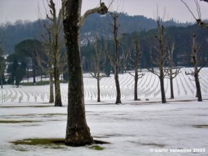 cimitero_falciani_neve4