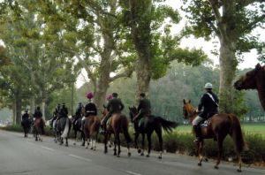 cascine22