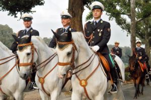 cascine33