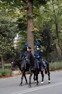 cascine43