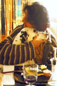 antonella_dalmata6