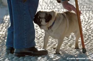 carlino_ettore2