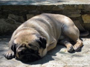 ettore_rimaggio01