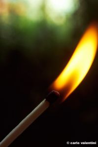 fiammifero1134_15
