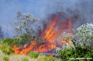 incendio08