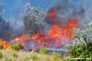 incendio11