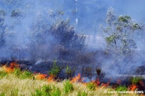 incendio13