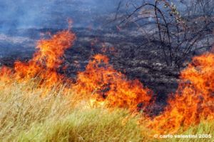 incendio21