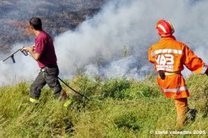 incendio24