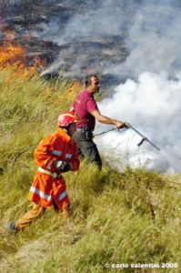 incendio28