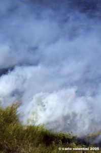 incendio36