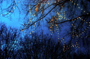 luminarie_alberi1