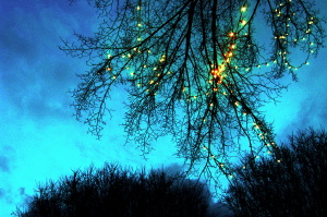 luminarie_alberi3