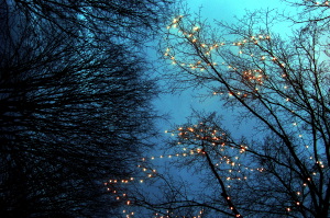 luminarie_alberi4