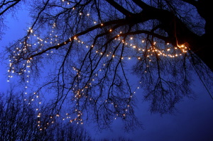 luminarie_alberi5
