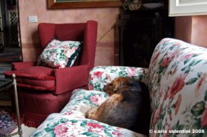 colle_ramole07