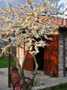 rimaggio02_060325