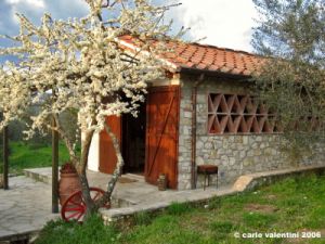 rimaggio03_060325