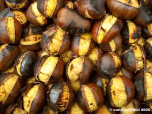 castagne3