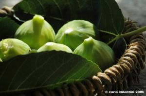 fichi05