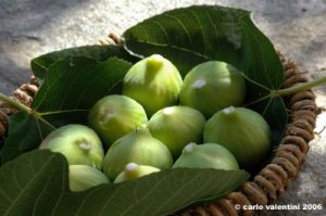 fichi09