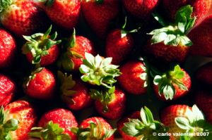 fragole007