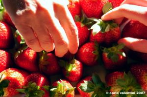 fragole013