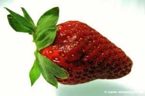 fragole2