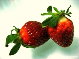 fragole3