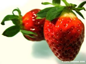 fragole5