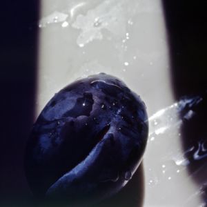 prugna77