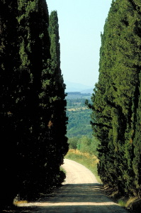 IMG0007_0186