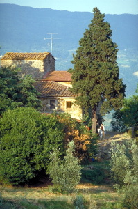 IMG0010_0406