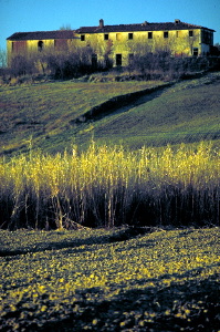 IMG0016_1712