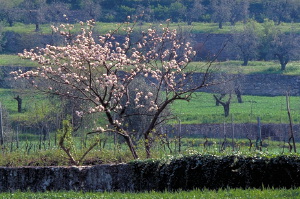 travalle203_08