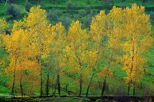 autunno202_08